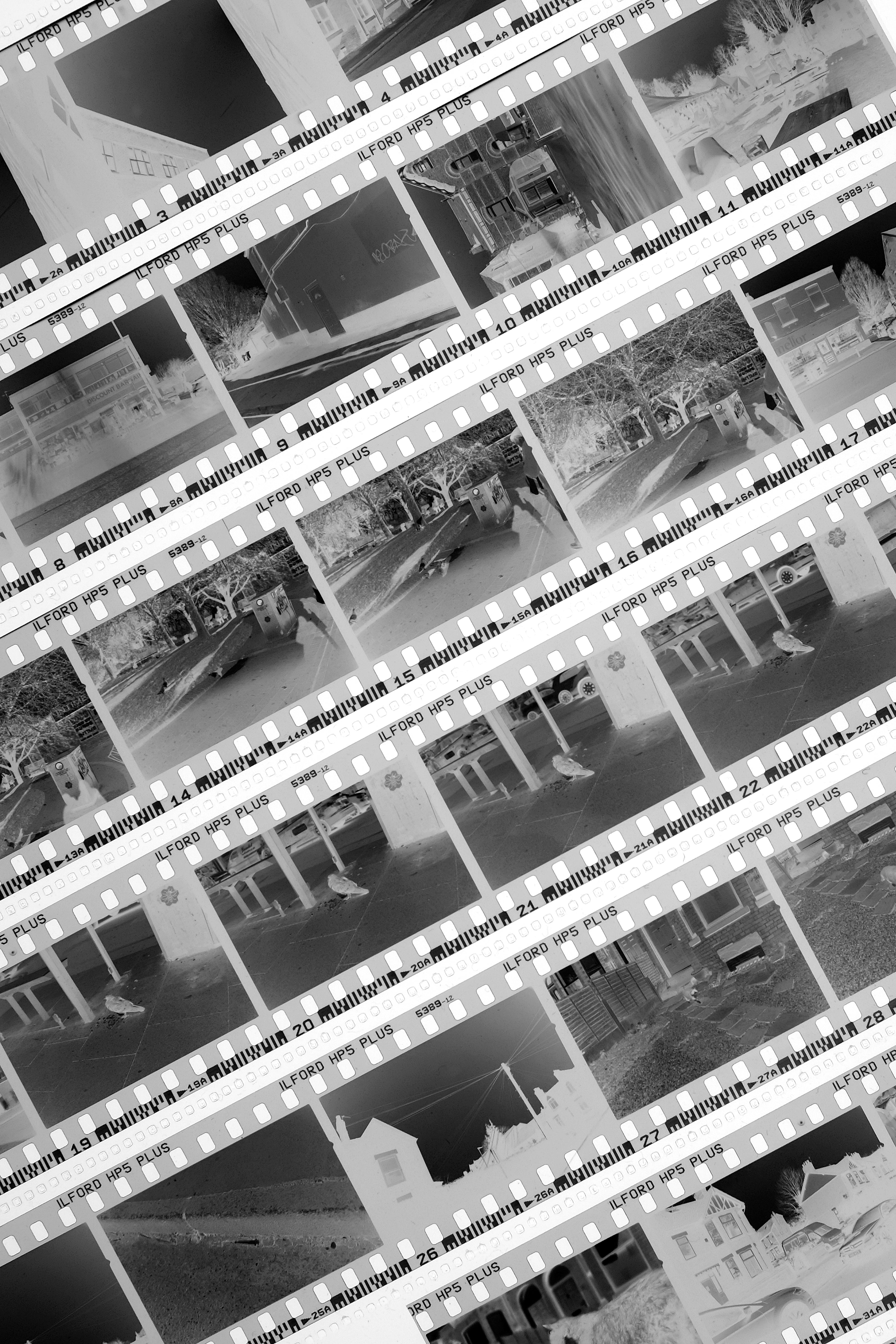 Photography Where Can I Develop Old Film B&w Film Developing