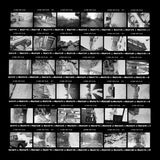 Digital Contact Sheet