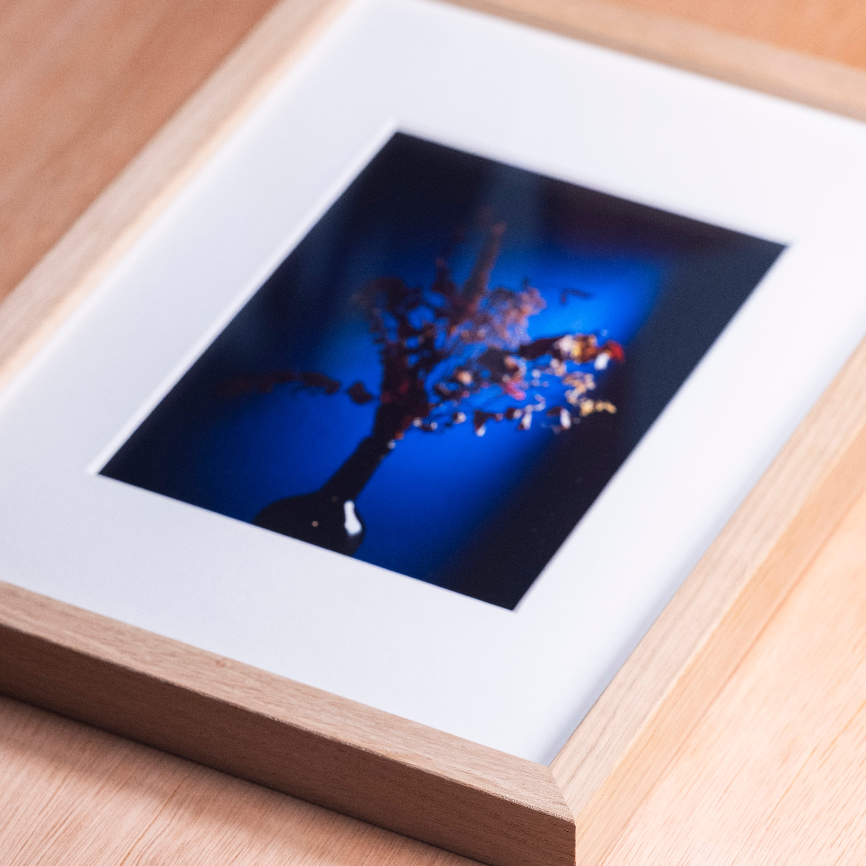 Framed Giclée Print