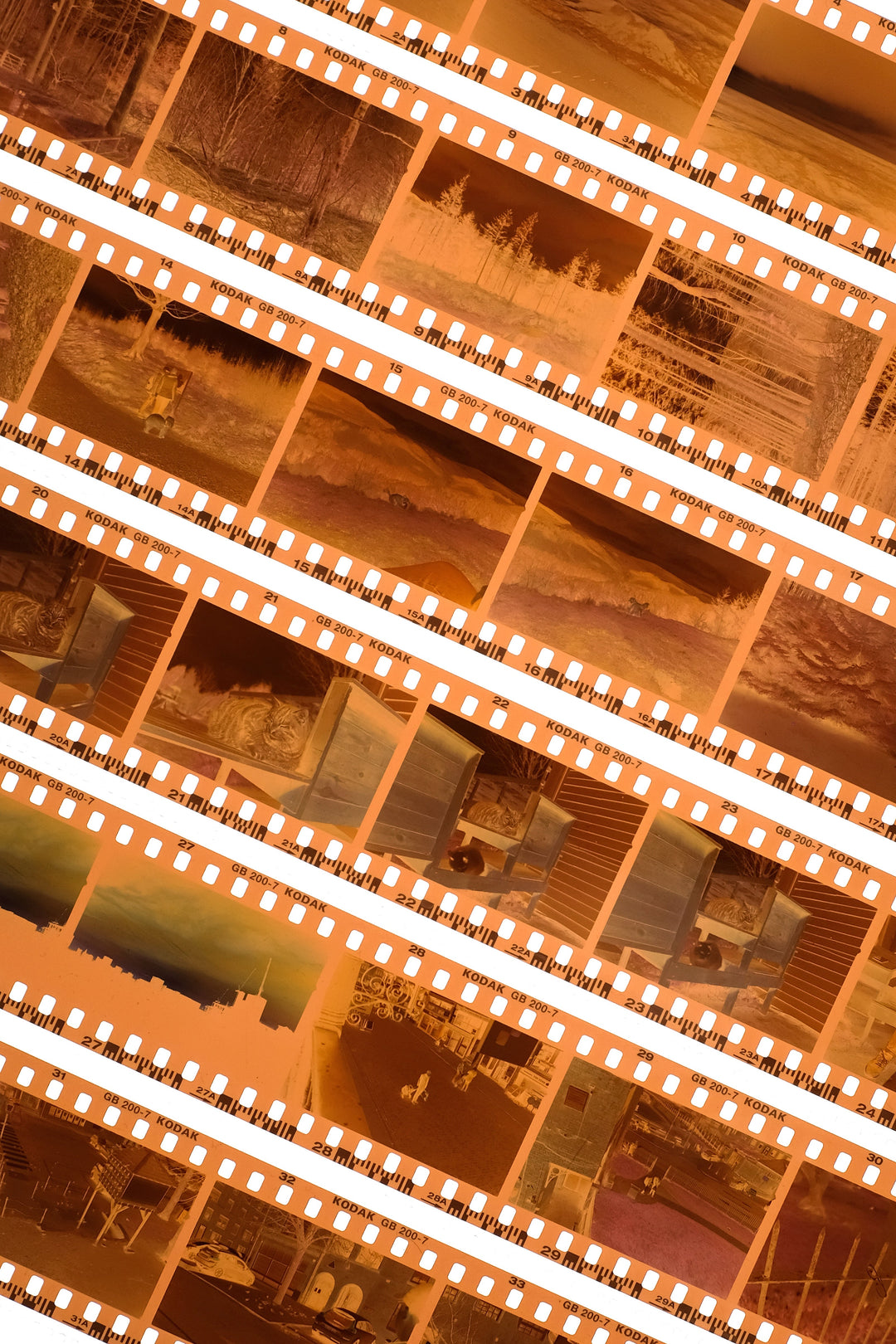 35mm Colour (C41) Film Process and Scan Come Through Lab