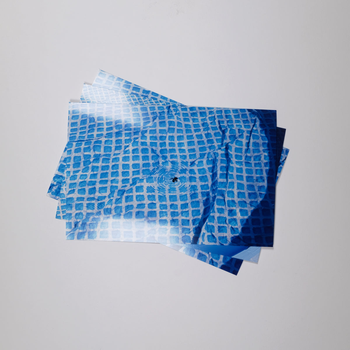 Mini Lab Prints – Come Through Lab LTD