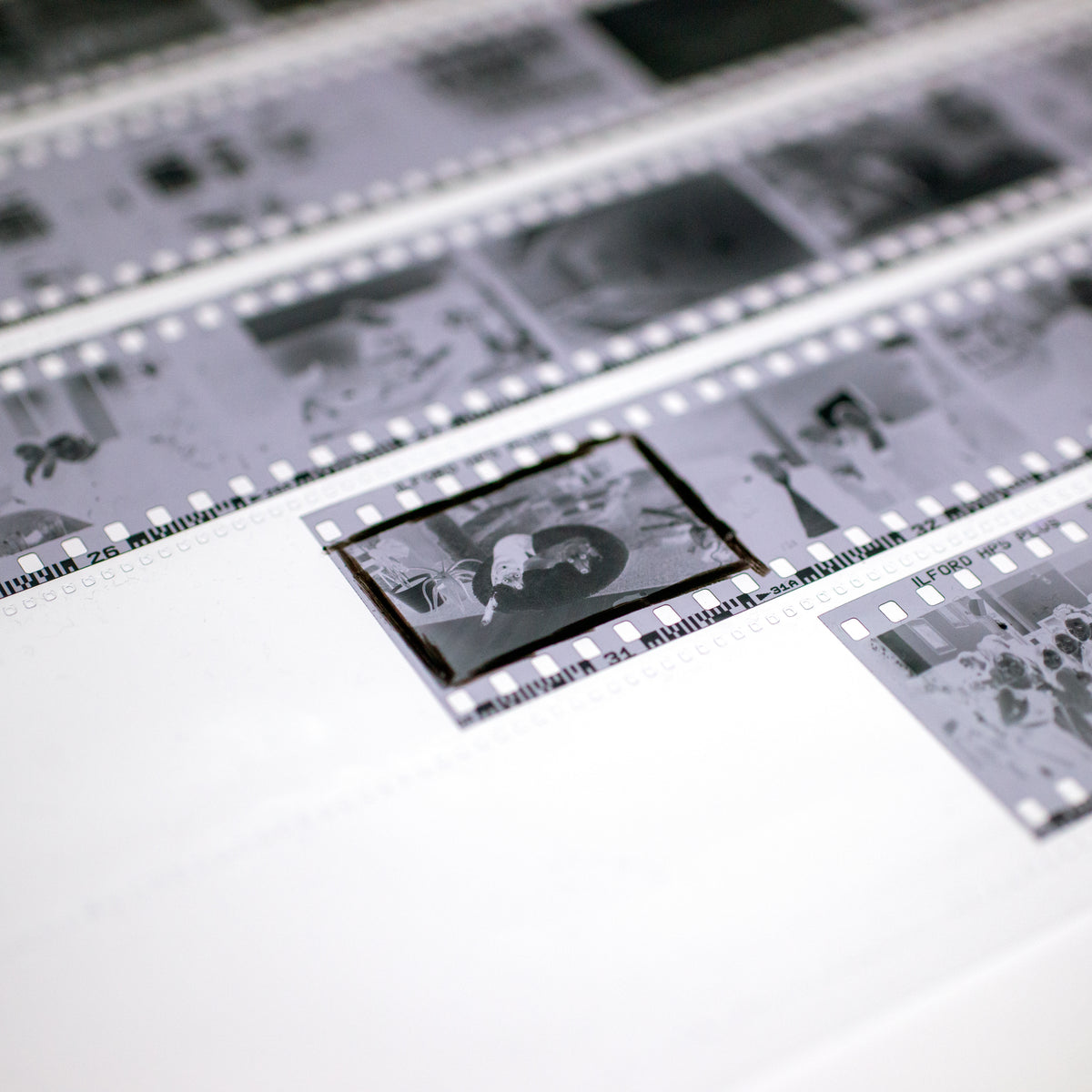 Negative Scan Noritsu Negative Scanning (Per Frame) – Come Through Lab LTD